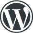 Wordpress development 